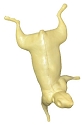 ES153